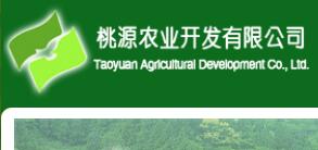 浮梁縣農(nóng)業(yè)開發(fā)公司與茶葉大數(shù)據(jù) 異合食品餐飲網(wǎng)運(yùn)營(yíng)新機(jī)遇