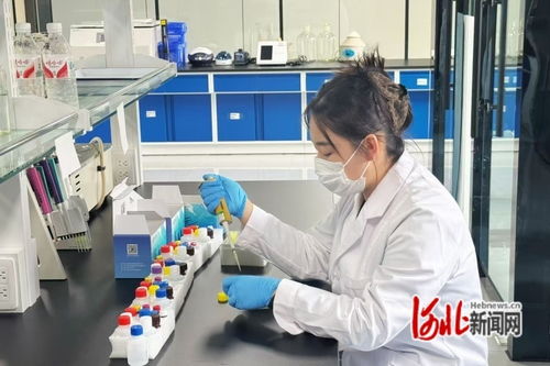 河北遵化 特色產(chǎn)業(yè)激活縣域經(jīng)濟(jì)發(fā)展新動能